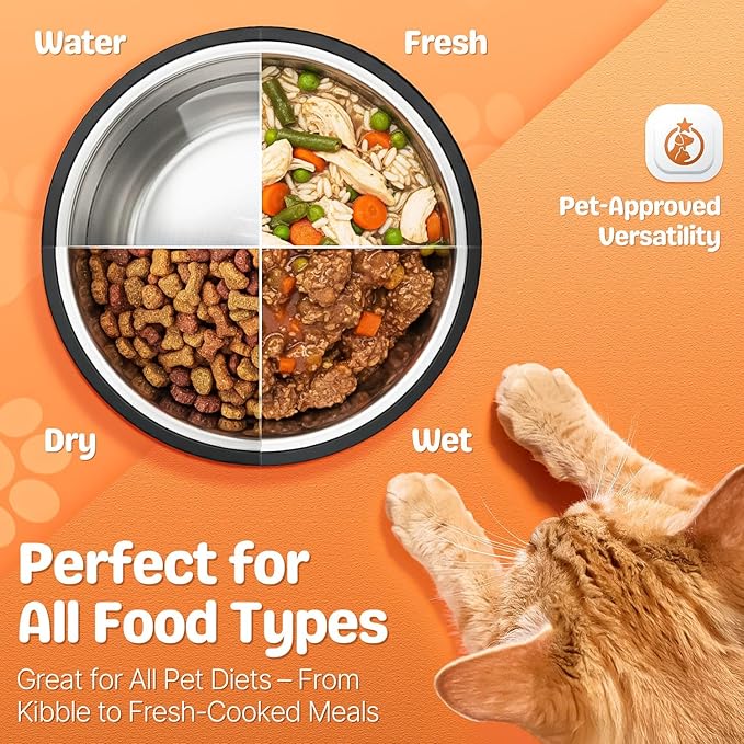 Flexzion Stainless Steel Dog Bowl (2.2 Cup/18oz) - Non Spill Water and Food Stainless Steel Pet Bowls Dish Feeder with Anti-Slip Rubber Base for Medium Sized Dog, Cat, Rabbit, and More