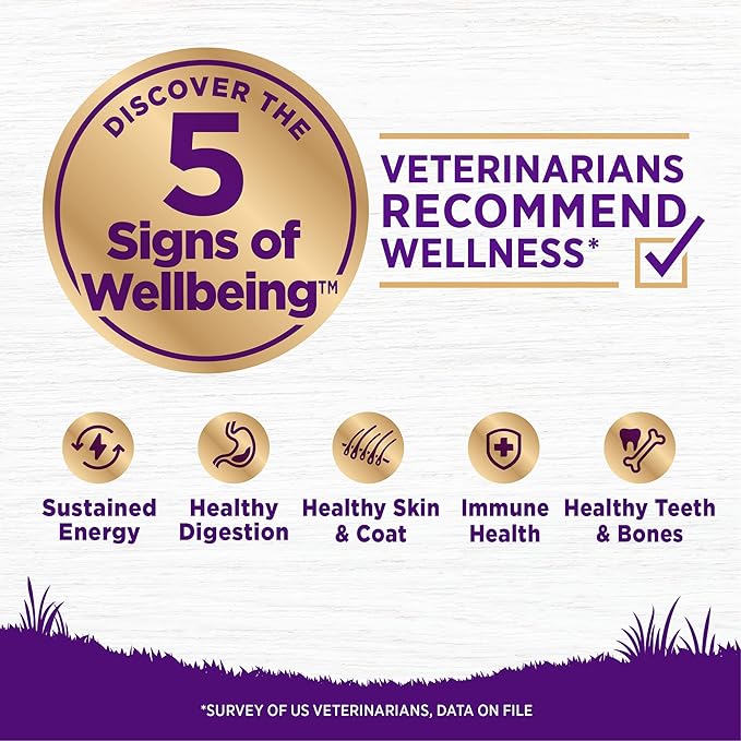 Wellness Complete Health Dry Dog Food, Wholesome Grains, Natural, Beef & Barley Recipe, (5-Poud Bag)