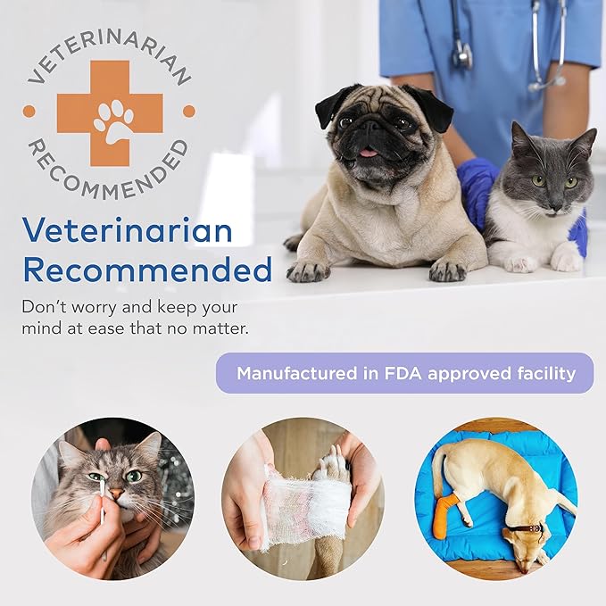 Cat & Dog First Aid Kit for Car - Pet Emergency Kit for Home Office Travel – Dog Camping Essentials with Digital Thermometer, Muzzle & Mini First Aid Pouch