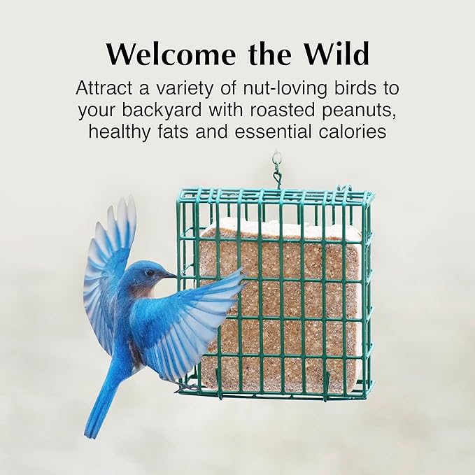 C&S Peanut Suet Treat, Suet Cakes for Wild Birds, 11 Ounces, Pack of 8