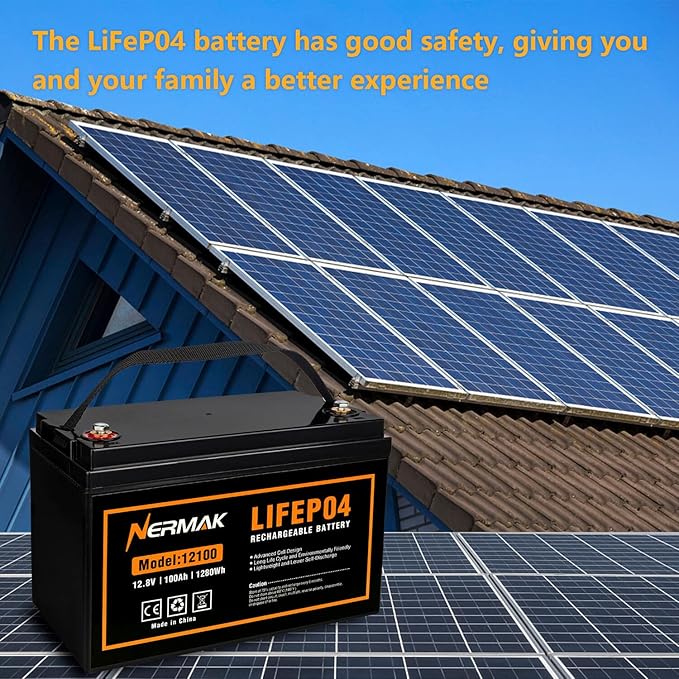 12V 100Ah Lithium LiFePO4 Deep Cycle Battery, 4000+ Cycles Lithium Iron Phosphate Rechargeable Battery for Solar, RV, Marine, Home Energy Storage, Off-Grid Applications Built-in 100A BMS