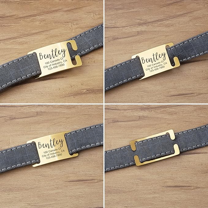 Anavia Slide On Silent Pet ID Tags, S/M/L/XL Personalized Gold Black Stainless Steel Customized Engraved Cat Dog Name Tags, Glossy Finish Chew-Proof Quiet Dog Collar Tag (Large, Gold)