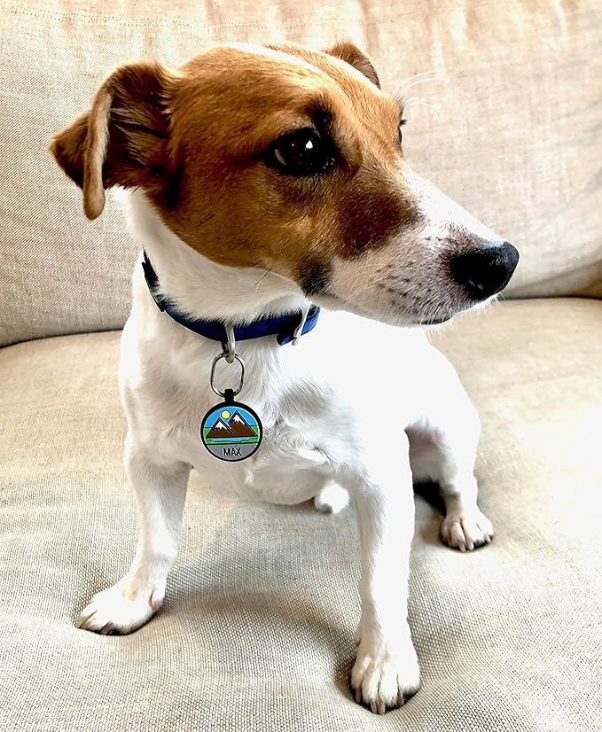 LYP Original Soundless Pet ID Tags | Custom Dog Tags Personalized for Pets | Durable Silicone Deep Engraved Dog Tag | No More Jingling | Beach