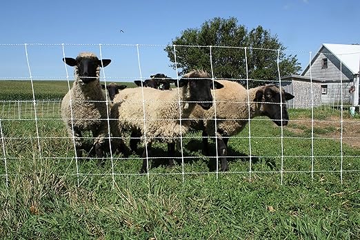 Starkline 35" x 164' Premium Positive/Negative Sheep Netting w/Double Spike Fiberglass Posts (9/35/8) Electric Fence for Backyards, Homesteaders, Farms and Ranches