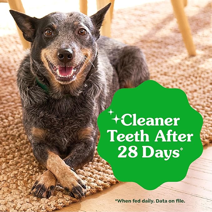 Greenies Veterinarian-Recommended Adult Natural Dental Dog Treats Petite Size, Original Flavor, 54 oz. Pack, 90 Count