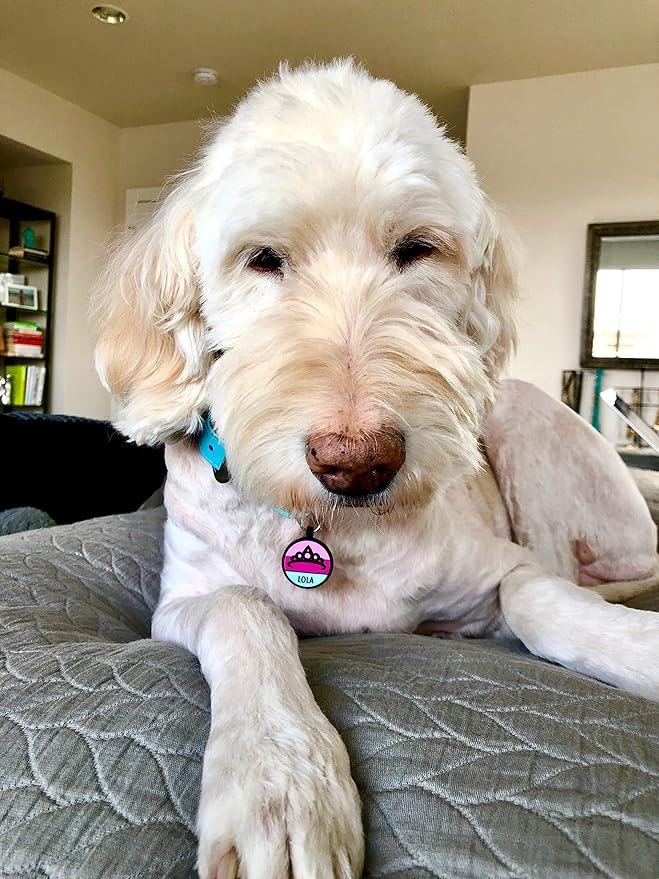 Love Your Pets - Our Original Soundless Pet ID Tag - Largest Line of Silicone Dog Tags - No More Jingling Dog Tags - Durable - Never Fades - Customized Deep Engraved Silicone (Princess)