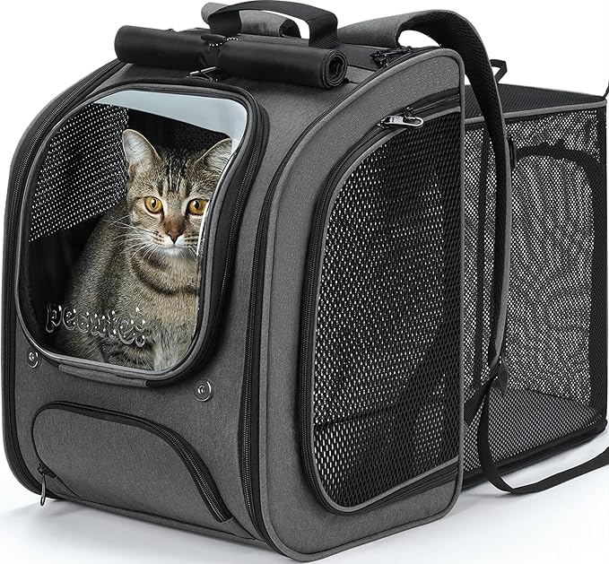 Pecute Cat Backpack Carrier Expandable, Large Space Cat Bubble Backpack, Breathable Cat Carrier, Shaded Dog Backpack Carrier for Travel, Hiking, Suitable for Shopping, and Vet, Gray