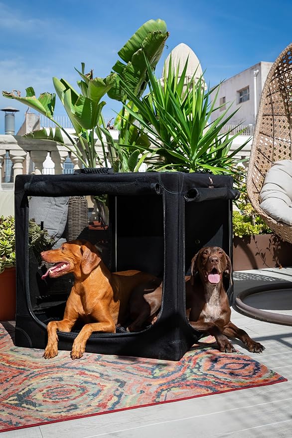 Noah & Paw Collapsible Dog Crate 42 Inch, XXL Dog Crate for XXL, XL, Large Breeds, Travel Kennel for Car, Includes Pet Mat for Pet Cage, 2 Storage Pockets, Handbag, 10mm Locking Zippers 42 * 31 * 31