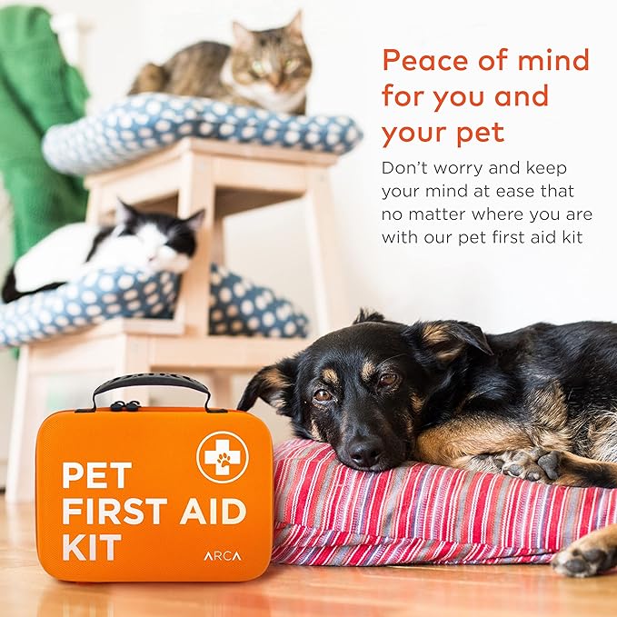 Dog Travel Safety Bundle – Pet First Aid Kit & Car Seat Belt for Safe Adventures, Camping, Hiking, and Road Trips (Canyon Red 360°)