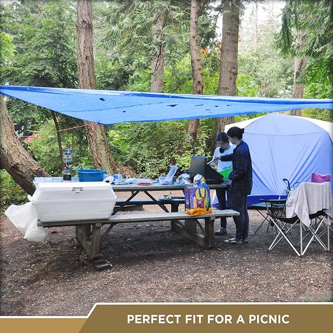 ATERET Multi-Purpose Blue Tarp Cover I Waterproof, 5-Mil Thick Plastic Poly with Grommets Eyes for Secured Tie Down I Great Idea Use for Roof, Camping, Patio, Canopy, Boat, Tent & Camping (30' x 60')