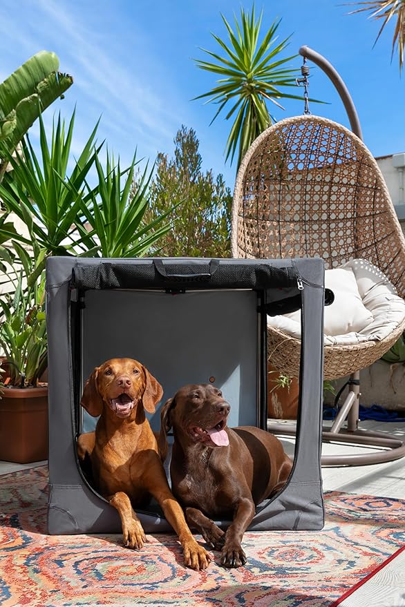Noah & Paw Collapsible Dog Crate 42 Inch, XXL Dog Crate for XXL, XL, Large Breeds, Travel Kennel for Car, Includes Pet Mat for Pet Cage, 2 Storage Pockets, Handbag, 10mm Locking Zippers 42 * 31 * 31